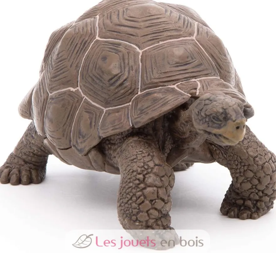 Figurine Tortue des galapagos - Papo