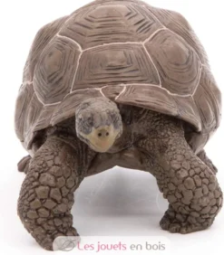 Figurine Tortue des galapagos - Papo