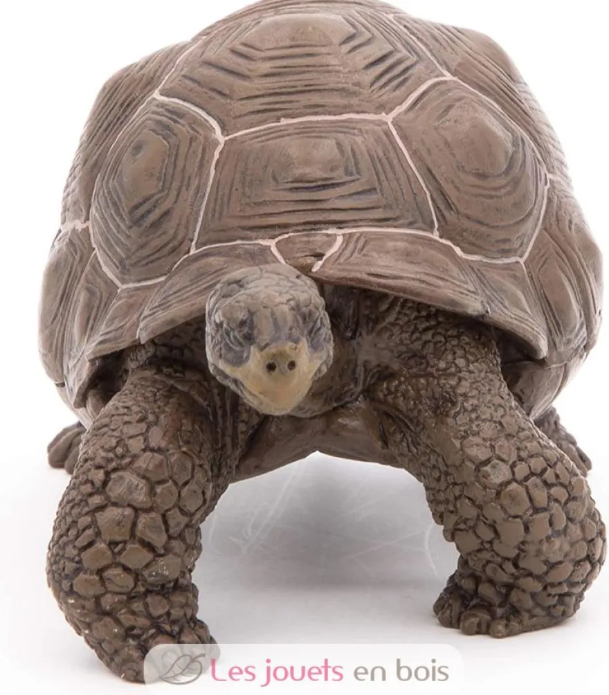 Figurine Tortue des galapagos - Papo