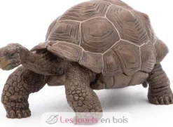 Figurine Tortue des galapagos - Papo