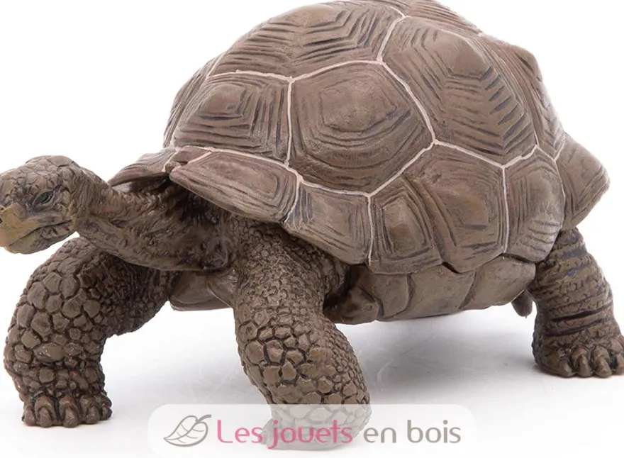 Figurine Tortue des galapagos - Papo