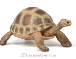 Figurine Tortue d'Hermann - Papo