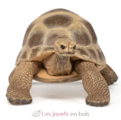 Figurine Tortue d'Hermann - Papo