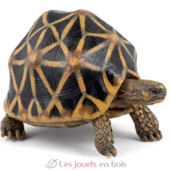 Figurine Tortue étoilée - Papo