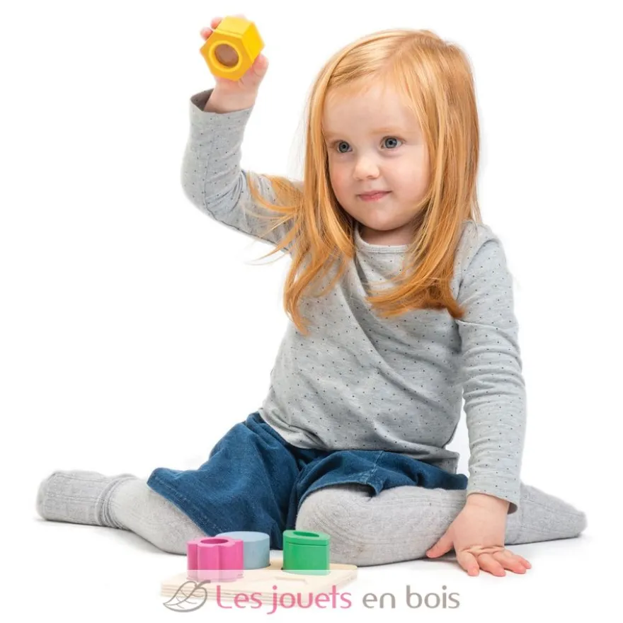Formes visuelles - Tender Leaf Toys