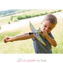 Fronde-oiseau Terra Kids - Haba