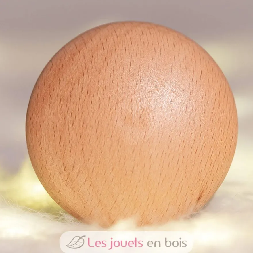 Galets en bois naturel - TickiT
