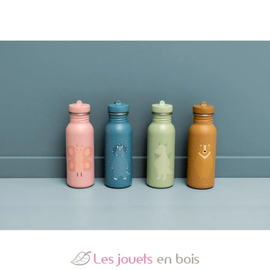 Gourde enfant 500 ml - Mr Dragon - Trixie