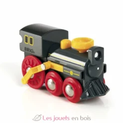 Grande locomotive à vapeur - Brio