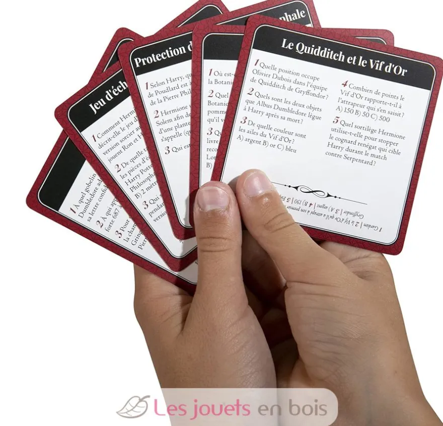 Harry Potter Quiz 500 - Topi Games