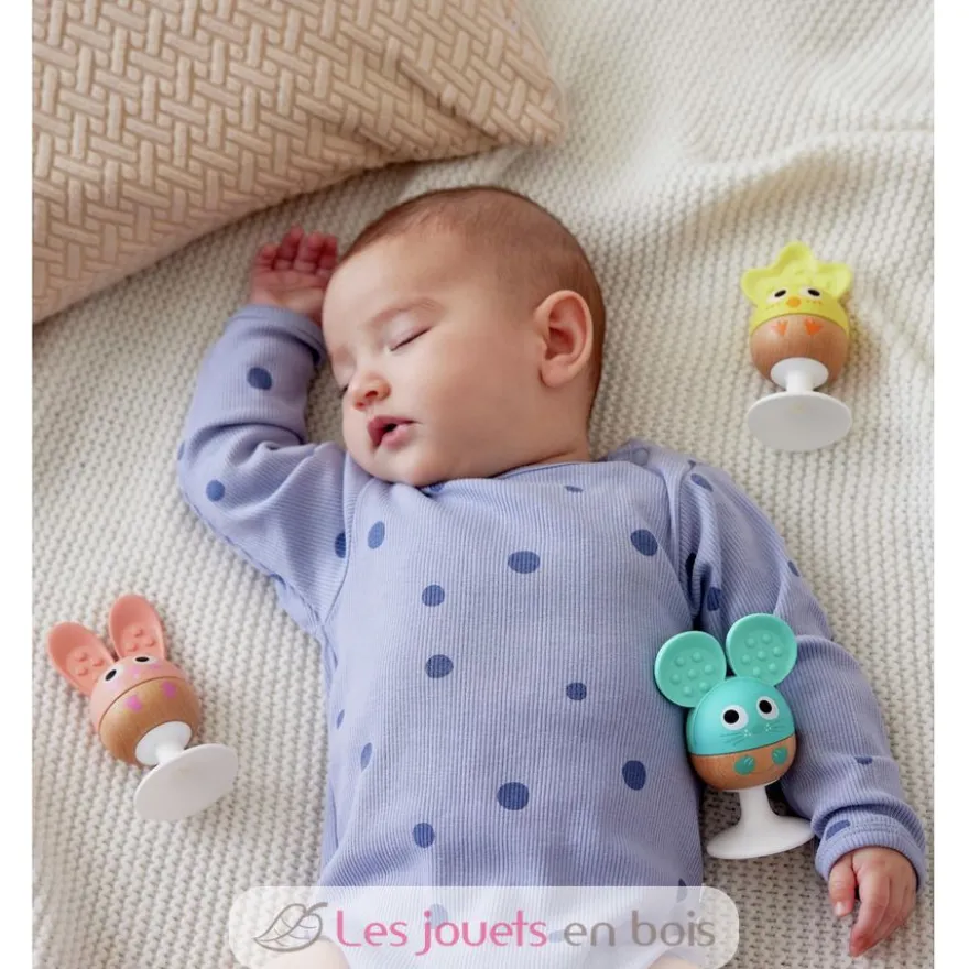 Hochets animaux à ventouse - Bois et silicone - Hape