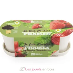 Jardinière en bambou Fraisiers - Radis et Capucine