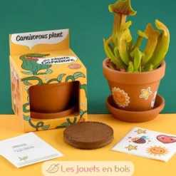 Je fais pousser ma Plante carnivore - Radis et Capucine