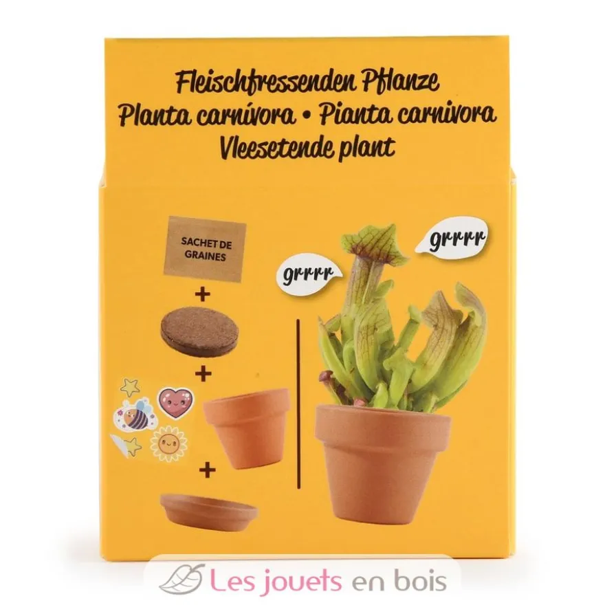 Je fais pousser ma Plante carnivore - Radis et Capucine