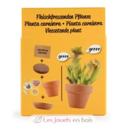 Je fais pousser ma Plante carnivore - Radis et Capucine