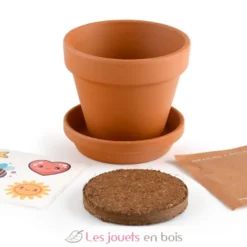Je fais pousser ma Plante qui danse - Radis et Capucine