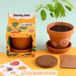 Je fais pousser ma Plante qui danse - Radis et Capucine