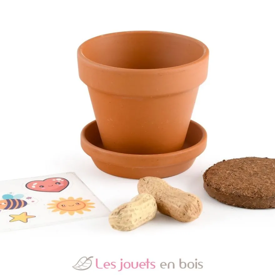 Je fais pousser mes Cacahuètes - Radis et Capucine