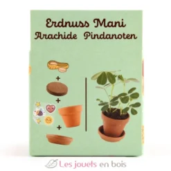 Je fais pousser mes Cacahuètes - Radis et Capucine