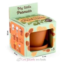Je fais pousser mes Cacahuètes - Radis et Capucine