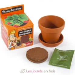 Je fais pousser mon Fraisier - Radis et Capucine