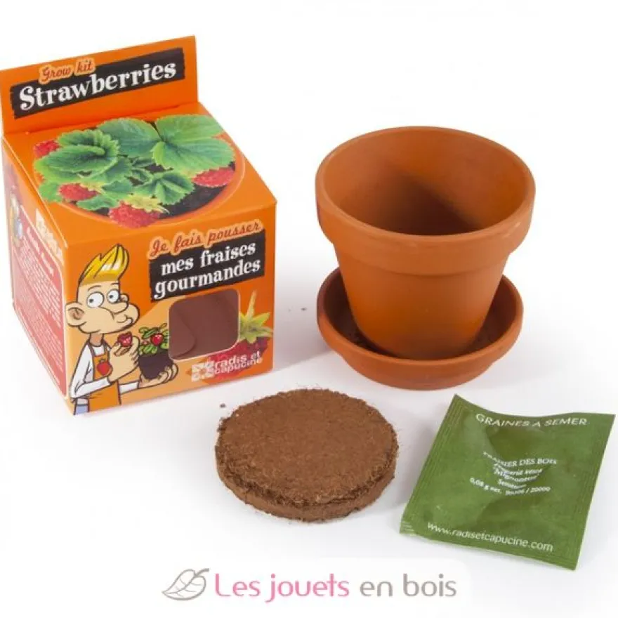 Je fais pousser mon Fraisier - Radis et Capucine