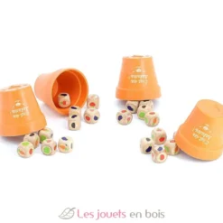 Jeu de bluff C'est des salades - Vilac