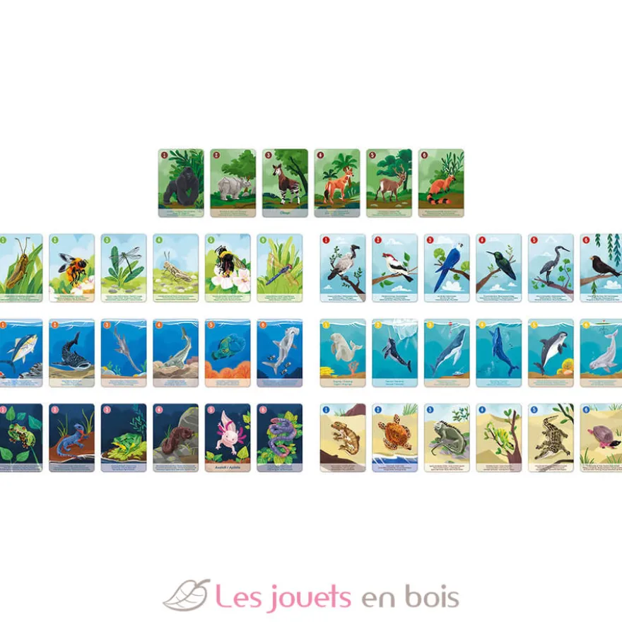 Jeu de 7 Familles le Règne Animal - Janod