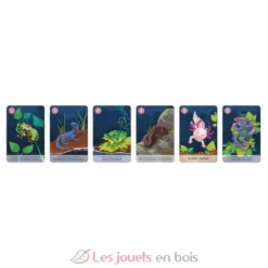 Jeu de 7 Familles le Règne Animal - Janod