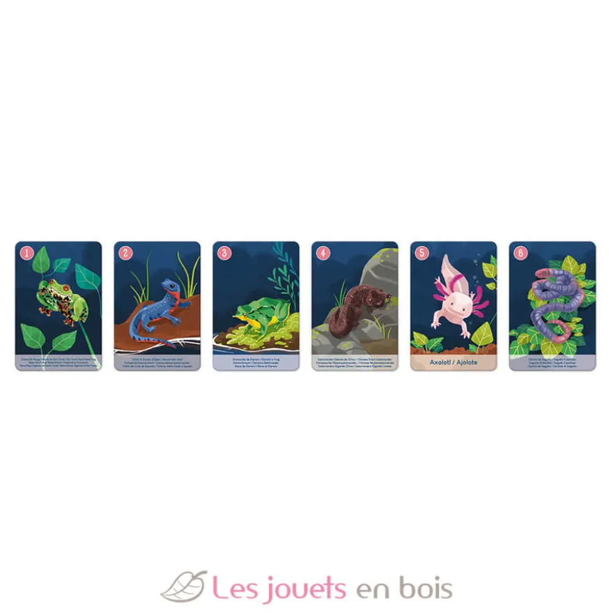 Jeu de 7 Familles le Règne Animal - Janod