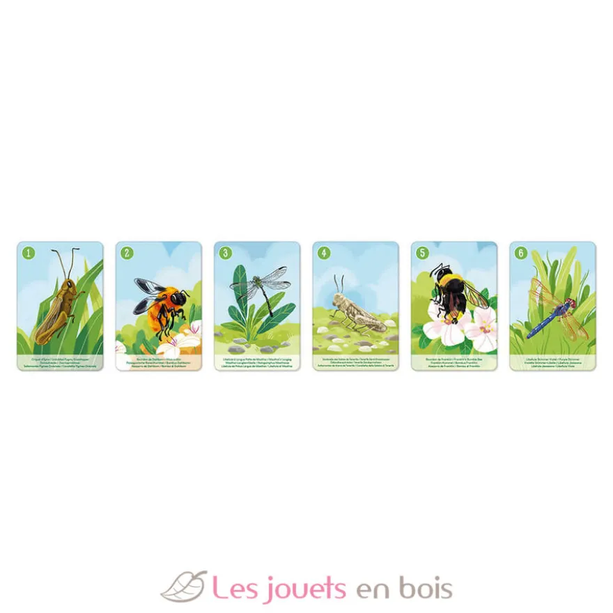 Jeu de 7 Familles le Règne Animal - Janod