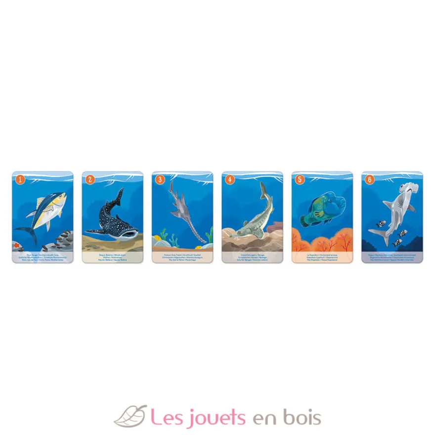 Jeu de 7 Familles le Règne Animal - Janod
