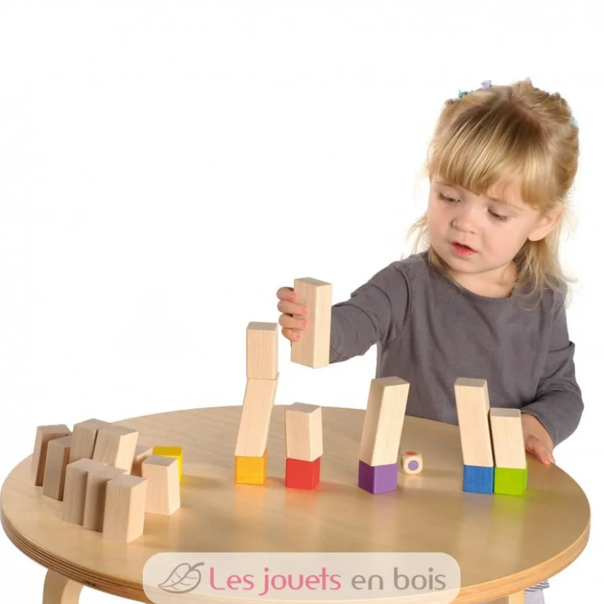 Jeu Tricky Blocks - Erzi