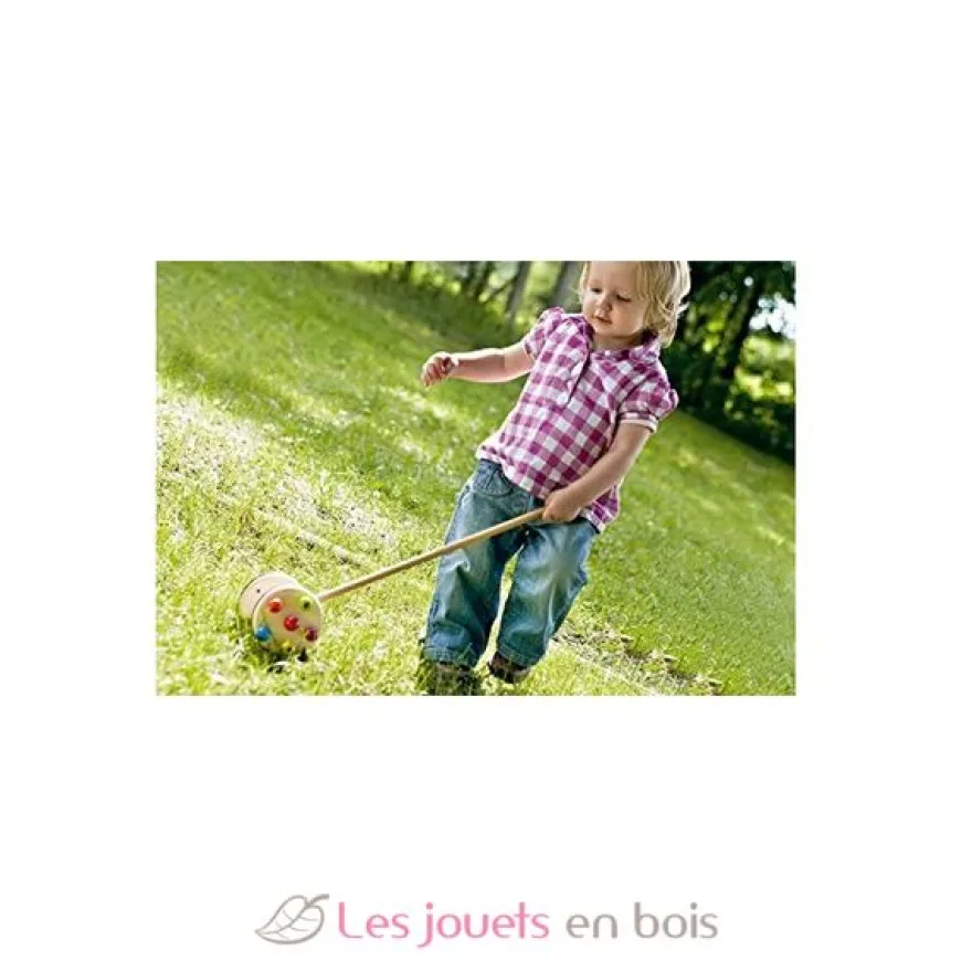 Jouet à pousser Roller - Selecta