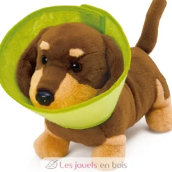 Kit du petit vétérinaire - Hape Toys