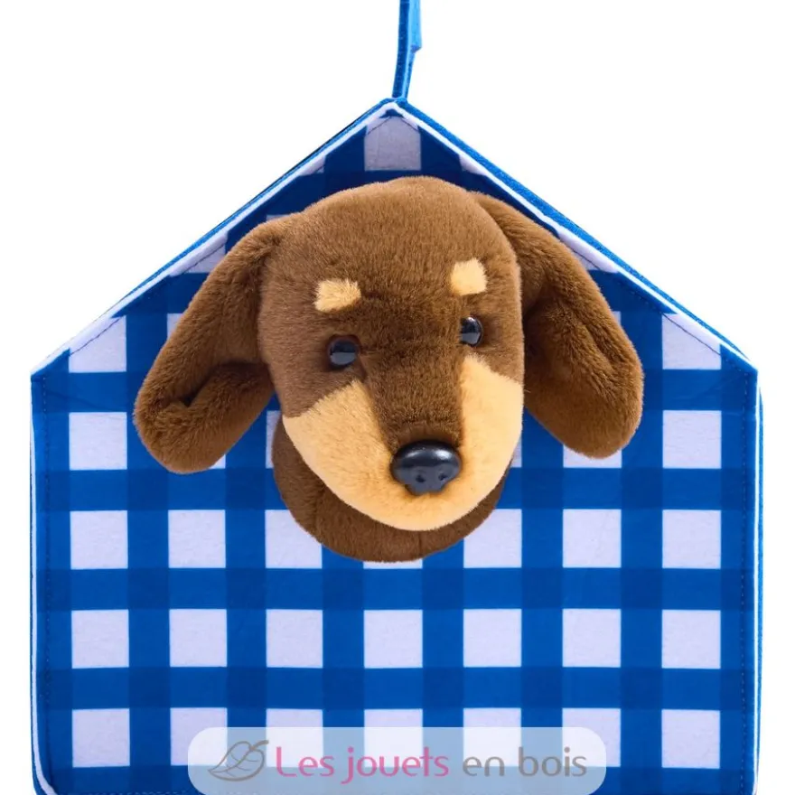 Kit du petit vétérinaire - Hape Toys