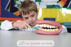 Kit géant de démonstration dentaire rose Tickit