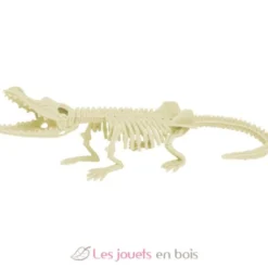 Kit Paleo - Crocodile - Ulysse