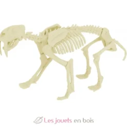 Kit Paleo - Smilodon - Ulysse
