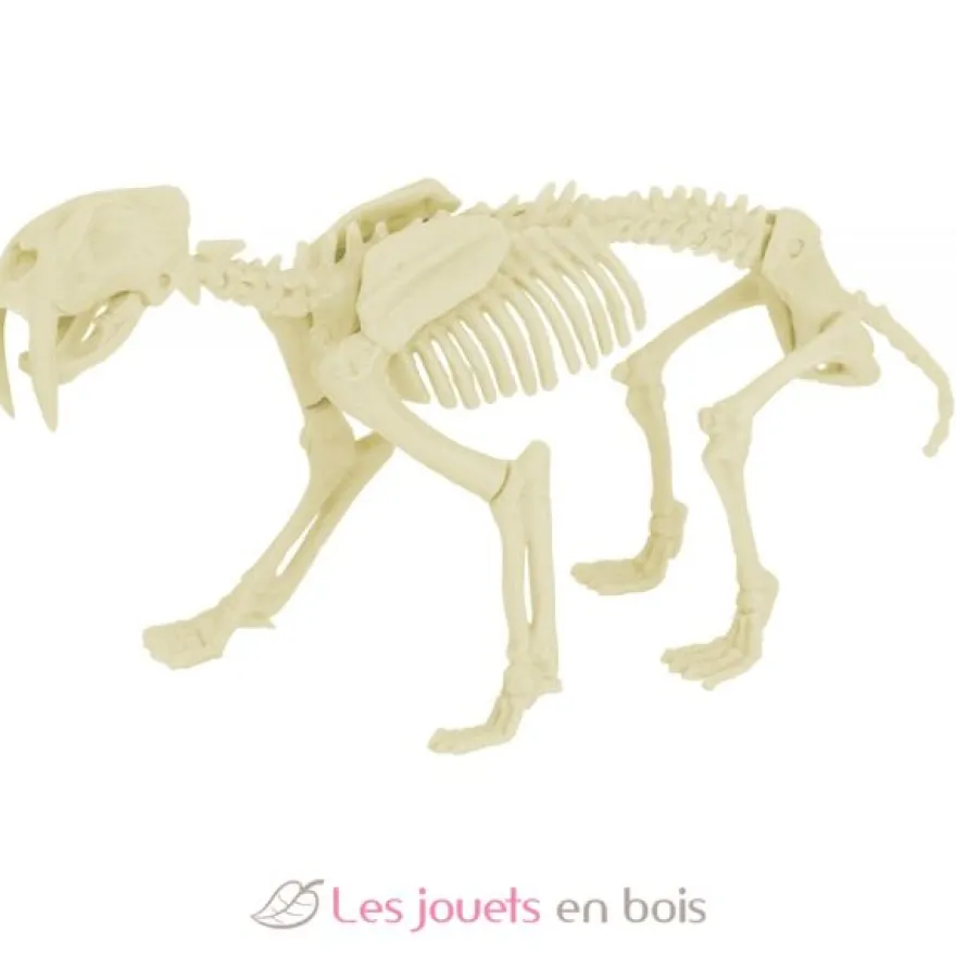 Kit Paleo - Smilodon - Ulysse