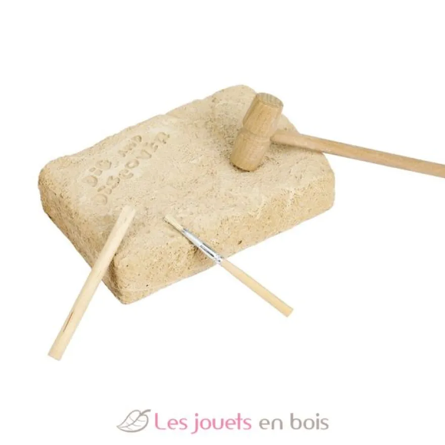 Kit Paleo - Stégosaure - Ulysse
