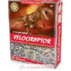 Kit Paleo - Vélociraptor - Ulysse