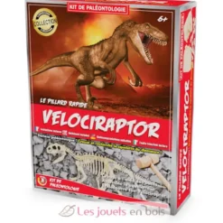 Kit Paleo - Vélociraptor - Ulysse