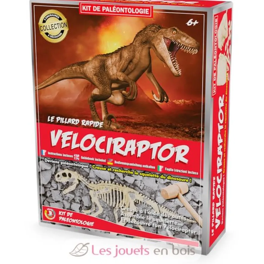 Kit Paleo - Vélociraptor - Ulysse