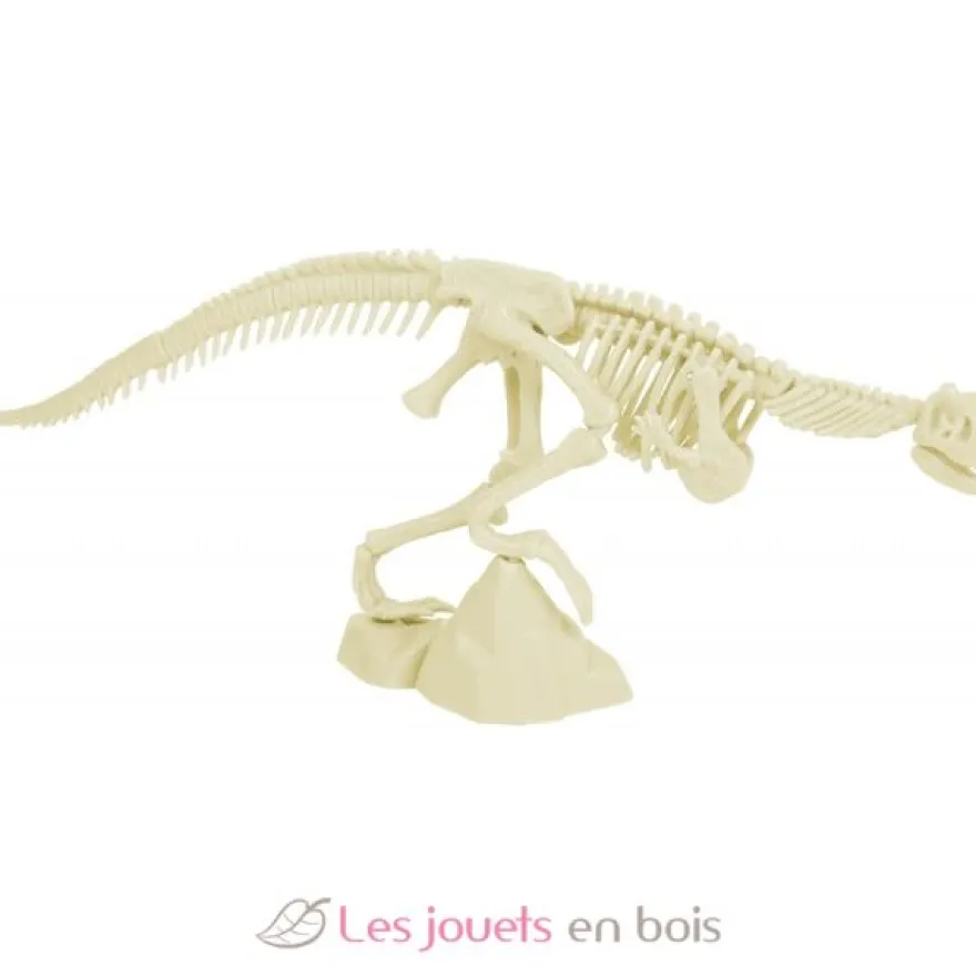 Kit Paleo - Vélociraptor - Ulysse
