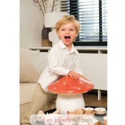 Lampe grand champignon rouge brique - Egmont Toys