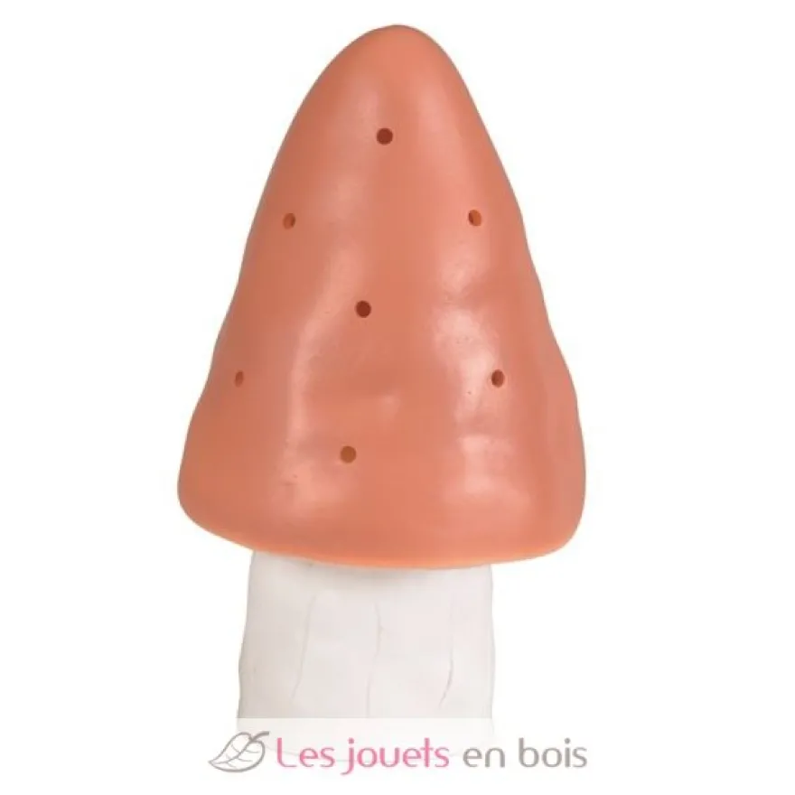 Lampe petit champignon terra - Egmont Toys