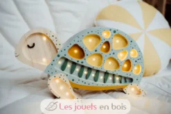 Lampe Veilleuse Tortue Galapagos sauge - Little Lights