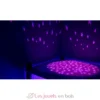 Lanterne Magique 2.0 Bluetooth – Savane - Trousselier