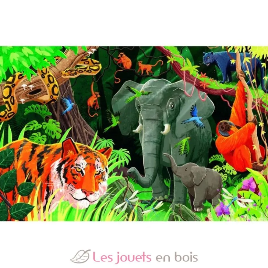 La Planète en Danger - La Jungle - Sassi Junior